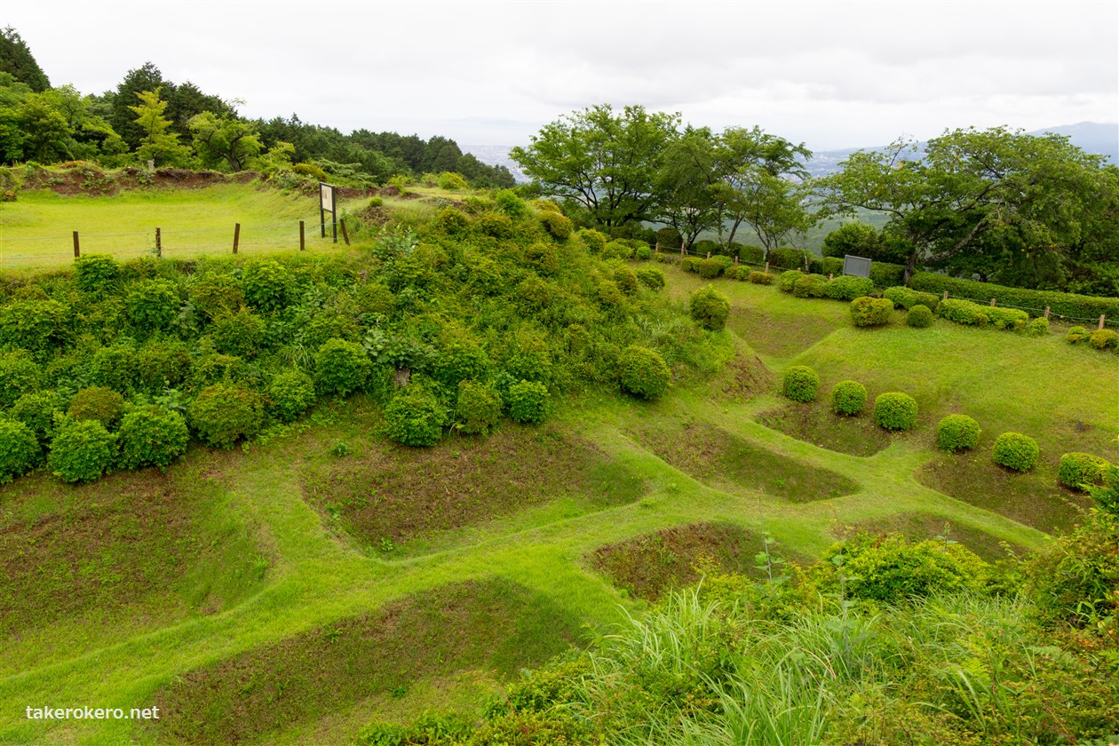 20140628_01.jpg